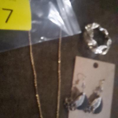 necklaces, earrings and pin