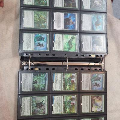 Magic the gathering binder of cards