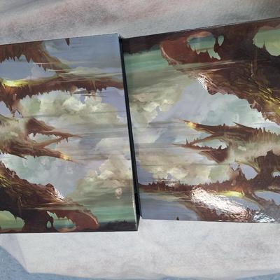 Magic the gathering binder of cards