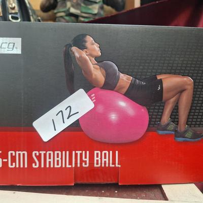 BCG Stability ball