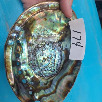 Large Abalone shell