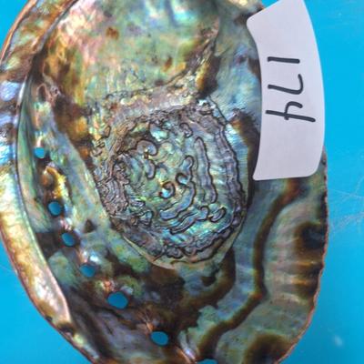 Large Abalone shell