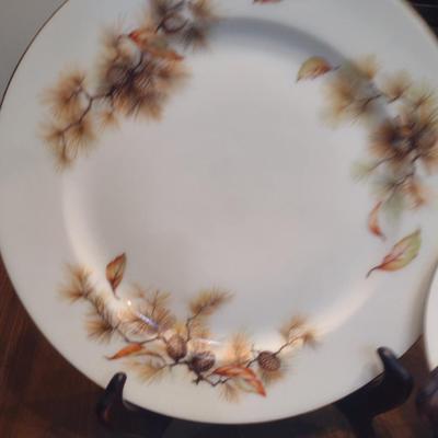 Kyoto 'Pines' China- Approx 46 Pieces