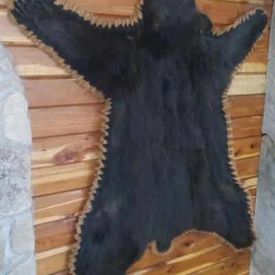 Black Bear Skin Rug with Head