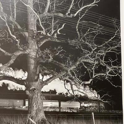 O. Winston Link - Signed Photographic Print & More (BR-RG)
