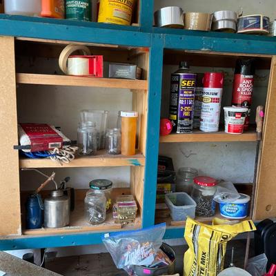 Sale Photo Thumbnail #115: Extension cords minnow buckets, shop light, Air compressor, small cabinet and more.