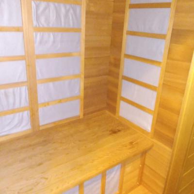 Electric Sauna