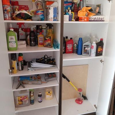 Garage cabinet and contents