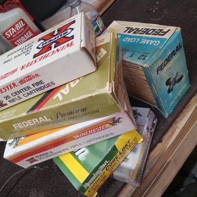 Ammo assorted