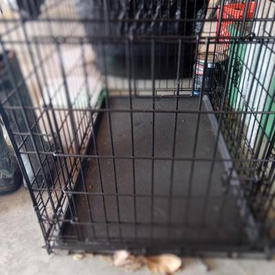 Dog crate and stainless bowls