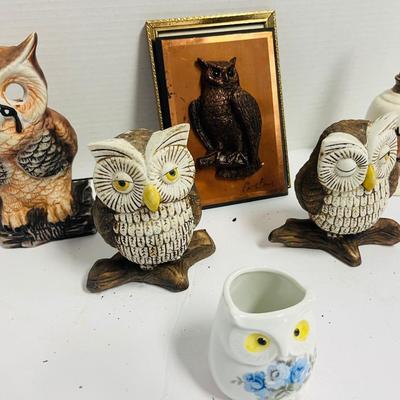 Owls Lot