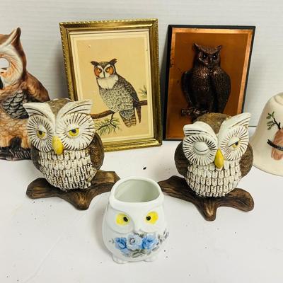 Owls Lot