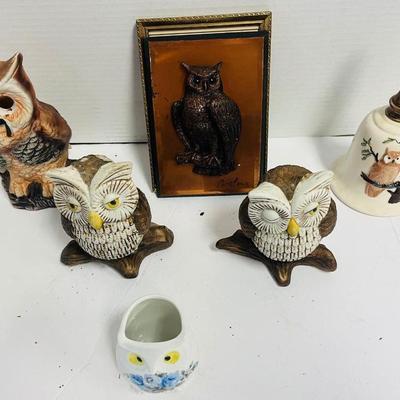 Owls Lot