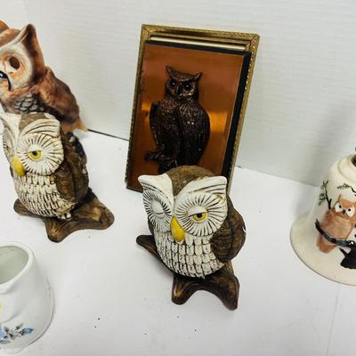 Owls Lot