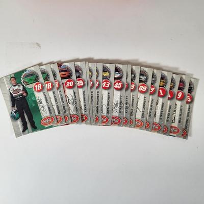 LOT 157: Multiple Nascar Memorabilia Items Including Autographs of Bobby Allison, Elliott Sadler and More