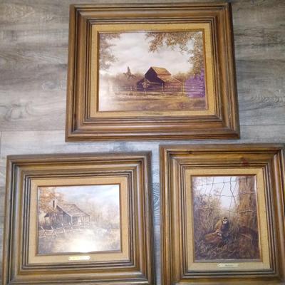 3 Framed pictures