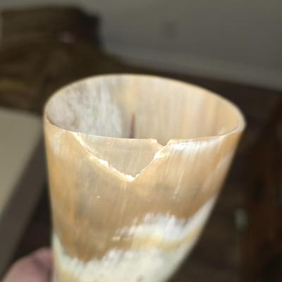Horn.