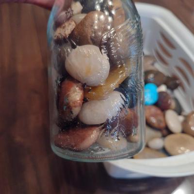 Collection of Polished/Tumbled Stones- Includes Bale Top Bottle and Possible Petrified Wood Slab
