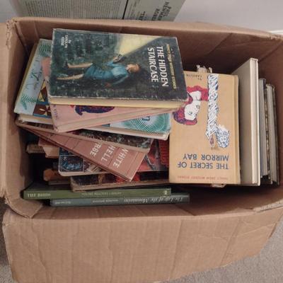 Collection of Young Reader's Books- Multiple Genres