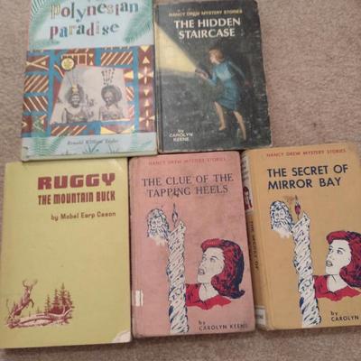 Collection of Young Reader's Books- Multiple Genres