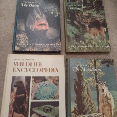 Collection of Young Reader's Books- Multiple Genres