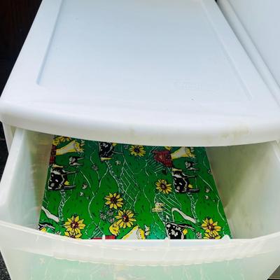 Storage Bins lot (5)