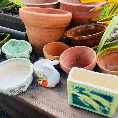 Various Plant Pots & Planters