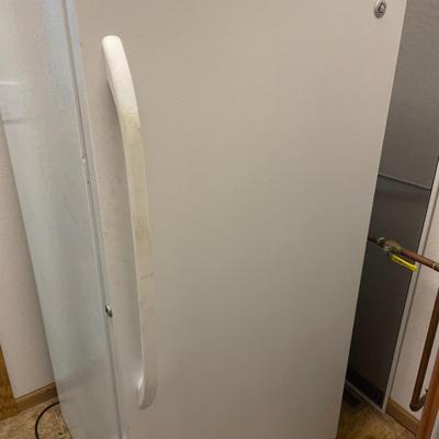 Smaller stand up freezer