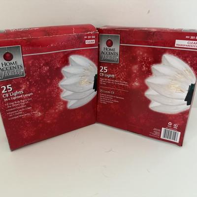 Sale Photo Thumbnail #147: Home accents holiday 25 C9 lights 24ft length.
2 boxes