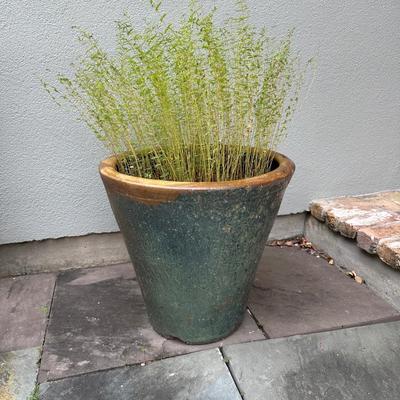 Tall Glazed Ceramic Planter with Plant (see details)