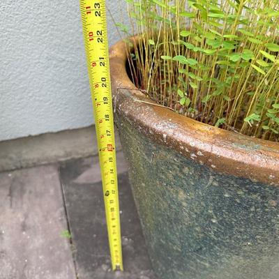 Tall Glazed Ceramic Planter with Plant (see details)