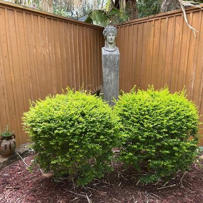 Elegant Cement Bust on Tall Pedestal – Classical Garden Statue (see description)