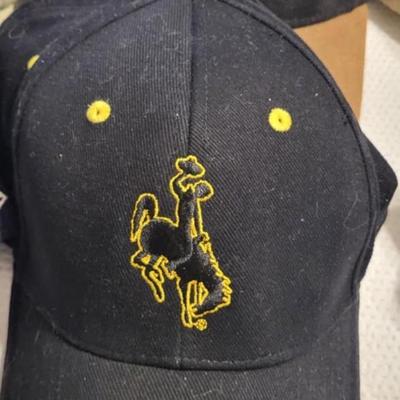 9 baseball caps