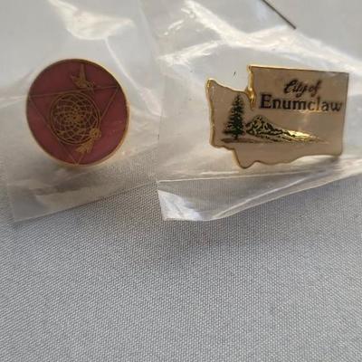 LAPEL PINS