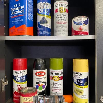 Spray paints