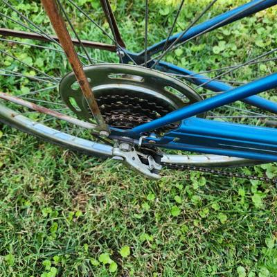 Vintage Schwinn Bike