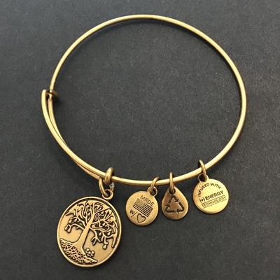 Gold tone Alex and Ani bracelet