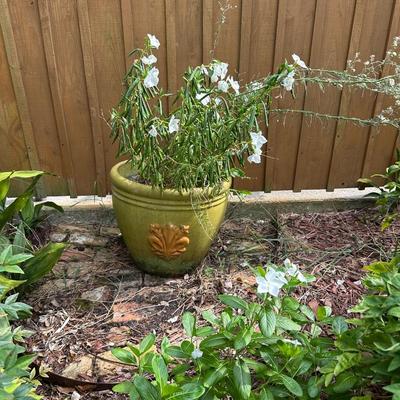 Large Painted Terracotta Pot