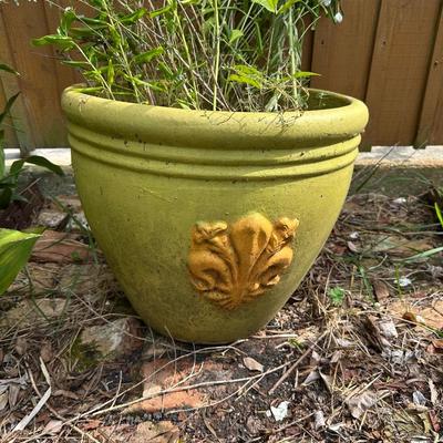 Large Painted Terracotta Pot