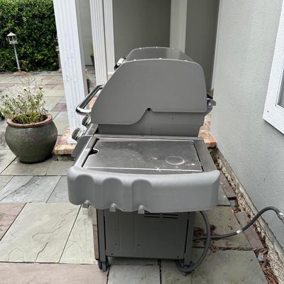 Stainless Weber BBQ Pit Natural Gas (see details)
