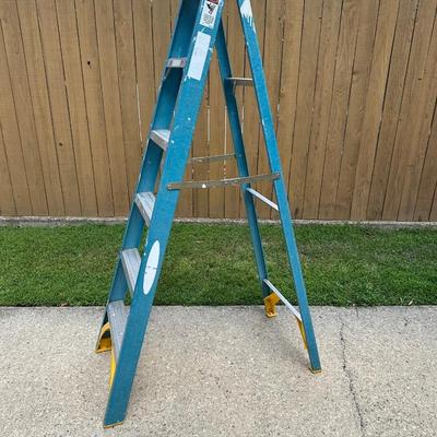 6ft Fiberglass Werner Ladder