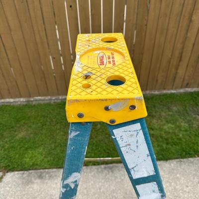 6ft Fiberglass Werner Ladder