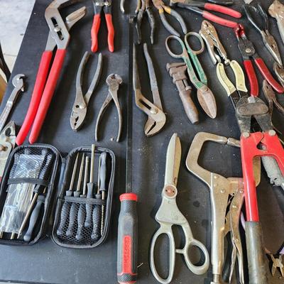 Table Top Lot of Tools