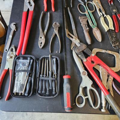 Table Top Lot of Tools
