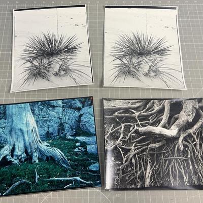 Sale Photo Thumbnail #359: Good Condition. 8 x 11" Ready to frame. 