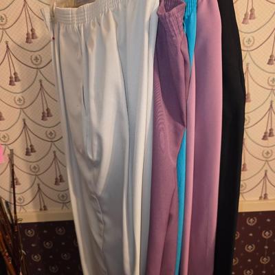 Ladies pants size large