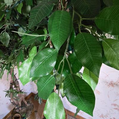 LOT 106L: Artificial Trees with Lights and Birdnests
