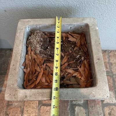 Pair of Classic Square Outdoor Planters