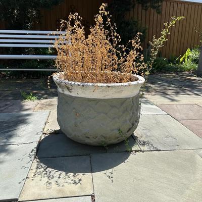 Large Terracotta Planter