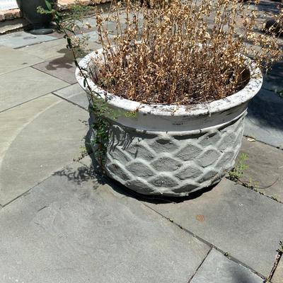 Large Terracotta Planter